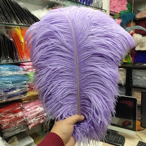 May include: A single long, light purple ostrich feather. The feather is soft and fluffy with a long, thin shaft.