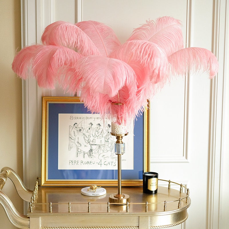 100 PCS Deep Pink Ostrich Feather Wedding Party Prom Charity Party Event  Feather Wall Costume Design Wing Decoration Material 