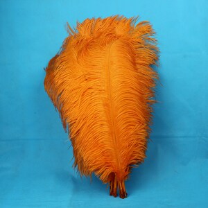 May include: A bunch of orange ostrich feathers. The feathers are long and fluffy, and they are arranged in a fan shape.