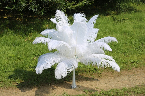 Natural pink Ostrich Feather 6-32 Inch//15-80 CM 100pcs Carnival Diy costume mask