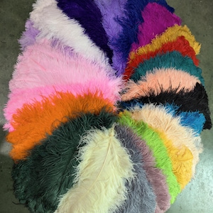May include: A variety pack of 27 colors of large ostrich feathers, each measuring 60-65 cm (24-26 inches) in length. The feathers are arranged in a semi-circle, with the tips of the feathers pointing outwards.