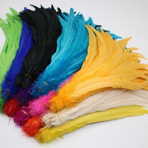 Peut inclure: Assortiment de plumes colorées, y compris le vert, le bleu, le turquoise, le jaune, le blanc et le rose. Les plumes sont disposées en éventail, les pointes des plumes étant dirigées vers l'extérieur.