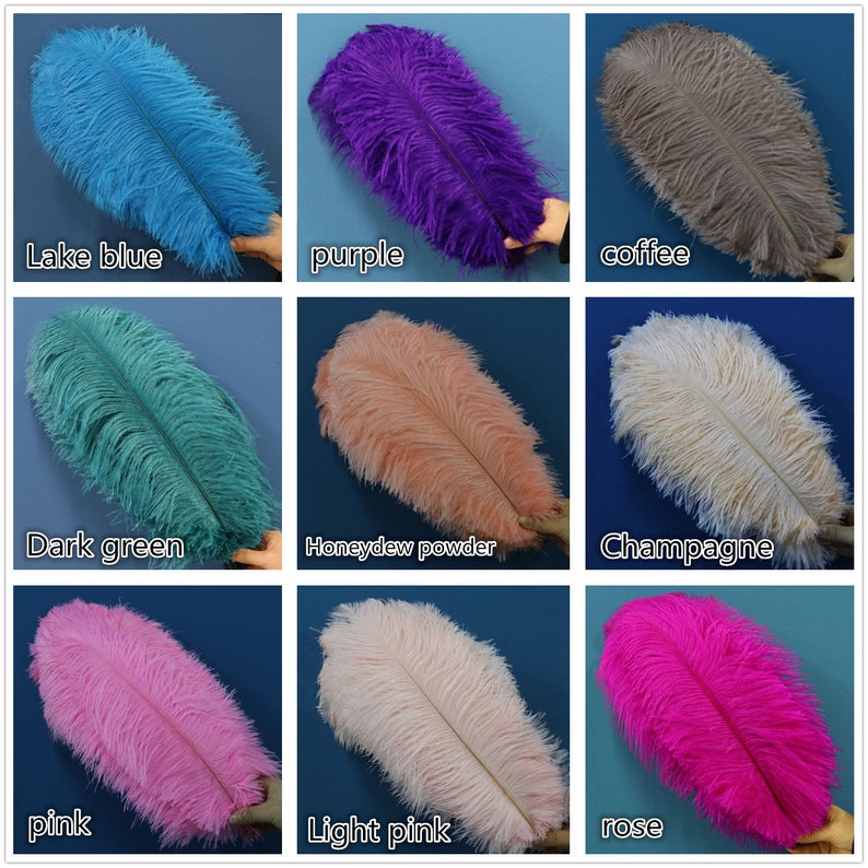 50PCS AAA Quality 6-32 inch Ostrich Feather Wedding Party Wall DIY Vase Prom Charity Party Dress Feathers Unique decoration 27 colors image 4