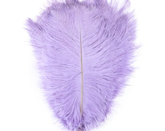 50 PCS Violet clair Autruche Plume Mariage Prom Charité Party Event Feather Wall Costume Design Wing Décoration Matériel