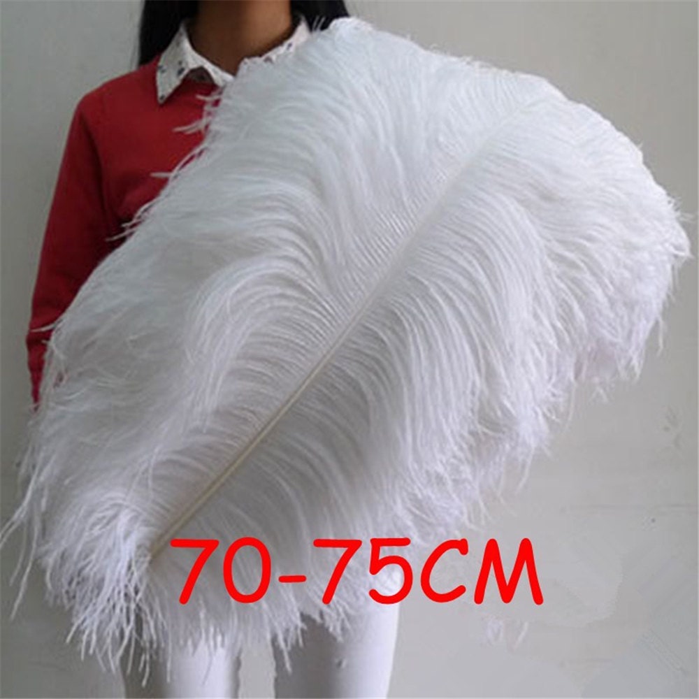 15CM-60CM Natural Colored Ostrich Feathers White Feathers for Vases  Handicraft Accessories Wedding Home Carnival Plumas Decor