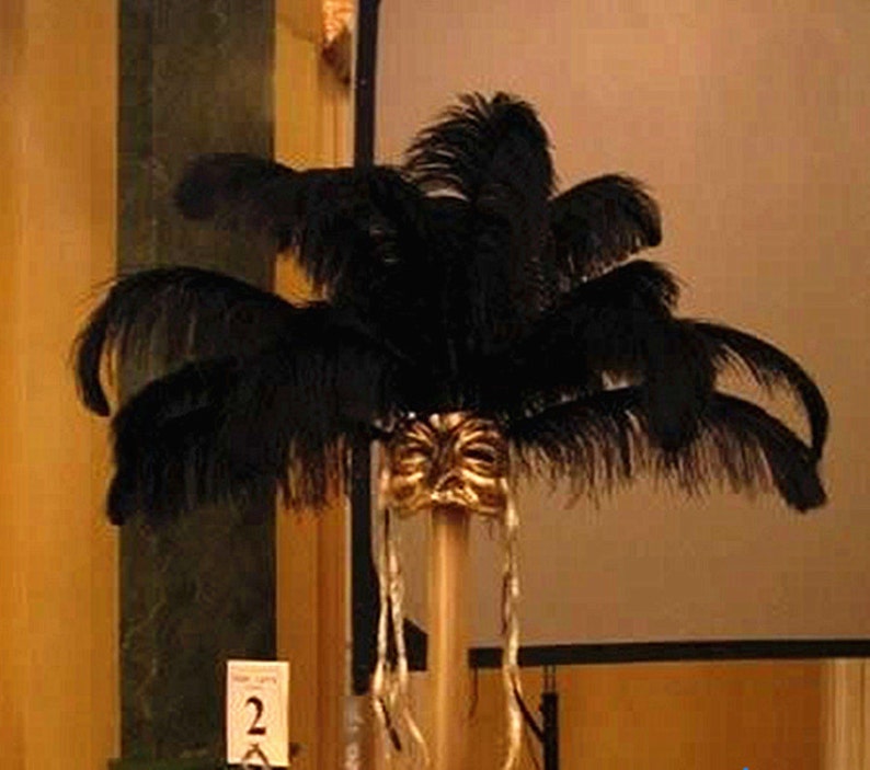 AAA 100PCS Black Ostrich feathers DIY wedding decorations party DIY party 6-32 inches Select image 1