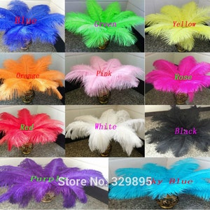 May include: Assortment of ostrich feathers in various colors, including blue, green, yellow, orange, pink, rose, red, white, black, purple, and sky blue. The feathers are arranged in a grid pattern, with each color displayed in a separate square.