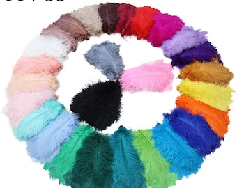 50 PCS AAA Qualité 6-32 pouces Plume D'autruche Mur De Fête De Mariage DIY Vase Prom Charity Party Dress Plumes Décoration Unique 27 couleurs