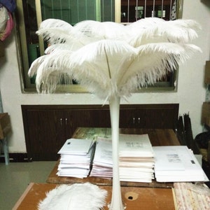 bella 20-100PCS lotto bianco struzzo fai da te penne da sposa 16 - 18 pollici / 40 - 45 cm decorazioni d'interni