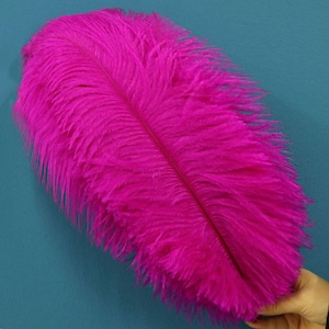 May include: A single bright pink ostrich feather. The feather is long and fluffy with a soft, delicate texture.