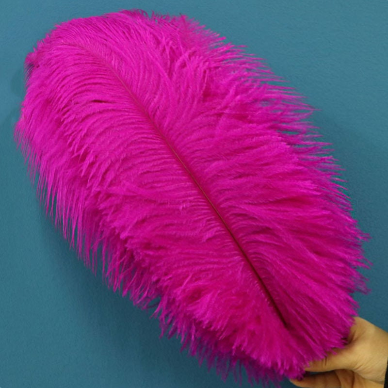 7-9 Inch Long Pink Feathers. Magenta Bird Quills for Making