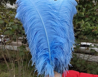 100 PCS Light blue Ostrich Feather Wedding Party Prom Charity Party Event Feather Wall Costume Design Wing Decoration Material