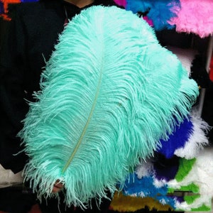 50PCS AAA Quality 6-32 inch Ostrich Feather Wedding Party Wall DIY Vase Prom Charity Party Dress Feathers Unique decoration 27 colors image 8