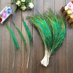 Beautiful! 50-100pcs 12-14 inches / 30-35cm Natural Peacock Feather Sword Symmetrical For Wedding Decoration