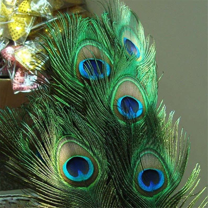 100PCS High Quality Real Peacock Feather Trimmed Peacock Eye Etsy
