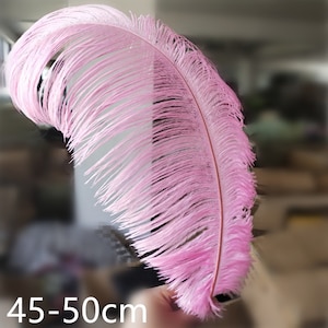 Hot Sale 50-200 PCS / Lot Pink Ostrich Feathers 10-12 Inches / 25-30cm ...
