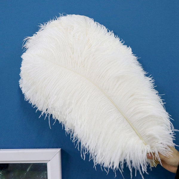 AAAAA High Quality 6-32"/15-80CM Pure White Ostrich Feather Wedding Party diy Clothing Material