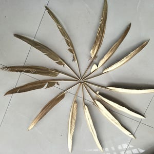 May include: A collection of golden feathers arranged in a circular pattern, radiating outwards from a central point.