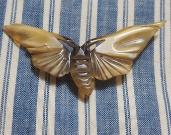 Broche ancienne , papillon, broche en corne naturelle, 1920