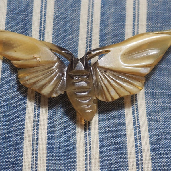 Broche ancienne , papillon, broche en corne naturelle, 1920