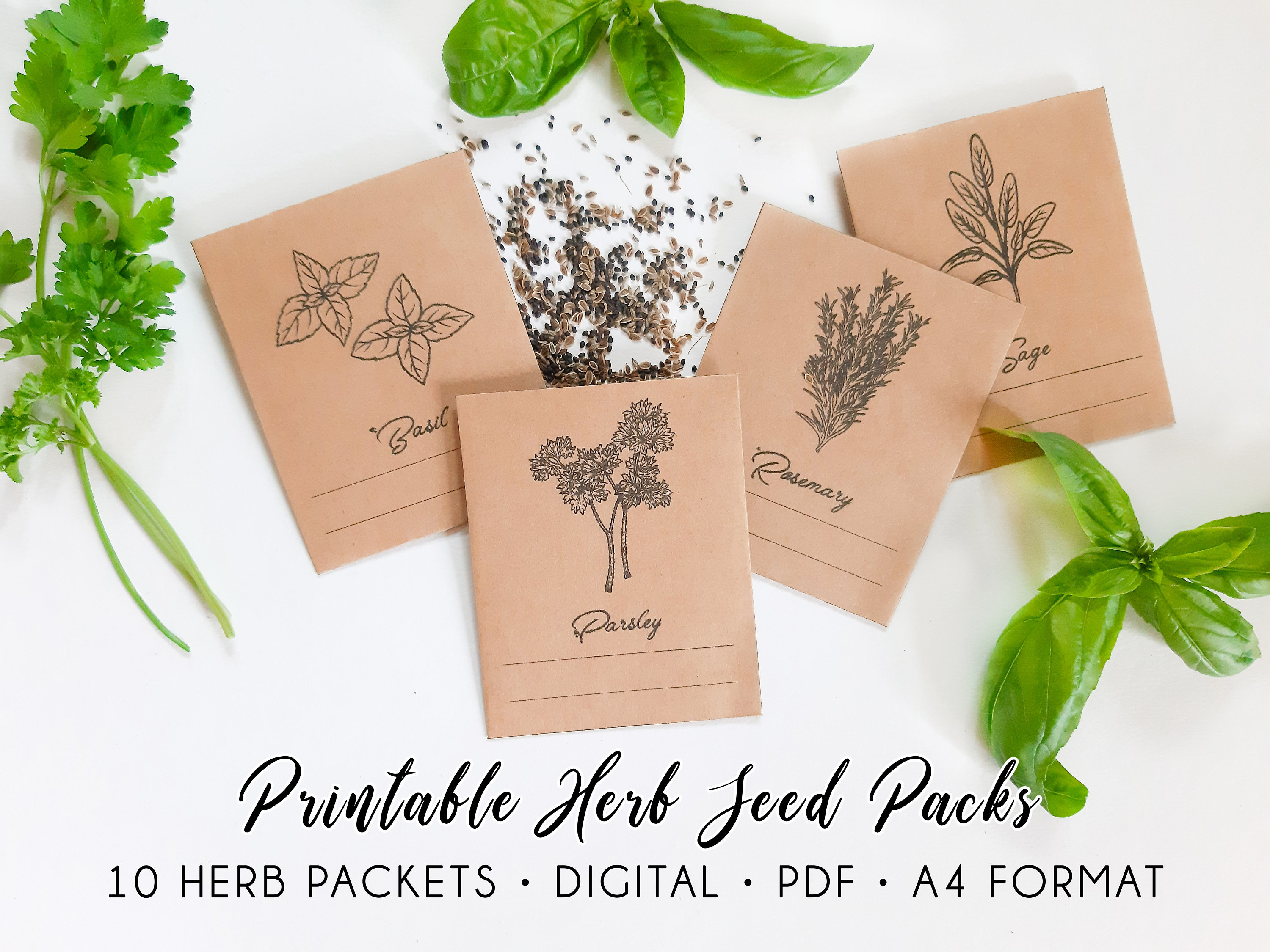 Herb Seed Packs Printable Seed Packets 10 Herbs Etsy