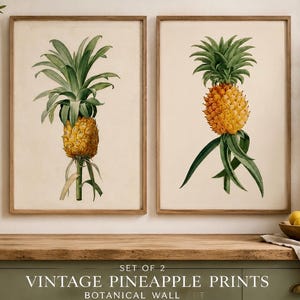 Könnte beinhalten: Ein Set aus zwei gerahmten Wandbildern mit botanischen Illustrationen von Ananasfrüchten. Jeder Druck zeigt eine gelbe Ananas mit grünen Blättern auf cremefarbenem Grund in einem Holzrahmen. Der Text lautet SET OF 2 VINTAGE PINEAPPLE PRINTS BOTANICAL WALL ART 2 STYLES TIMELESS TROPICAL CHARM.