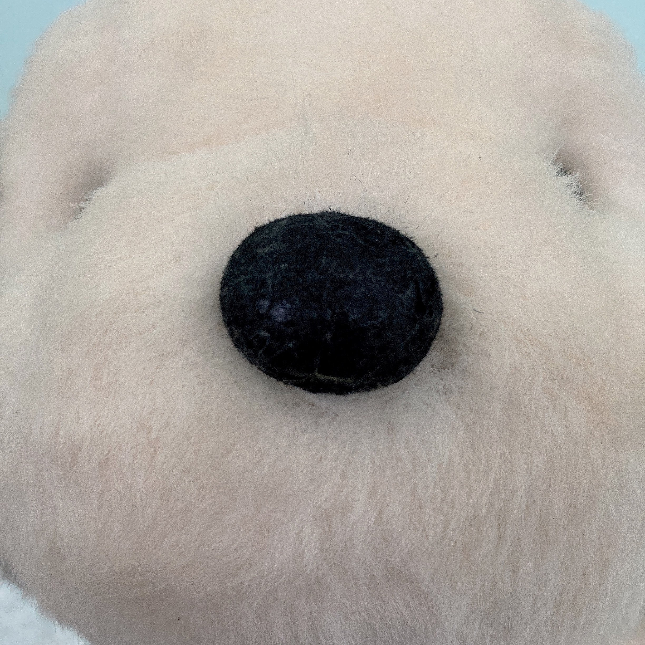 Umekichi 1983 Vintage Dog Plush: Japanese Stuffed Animal - Etsy