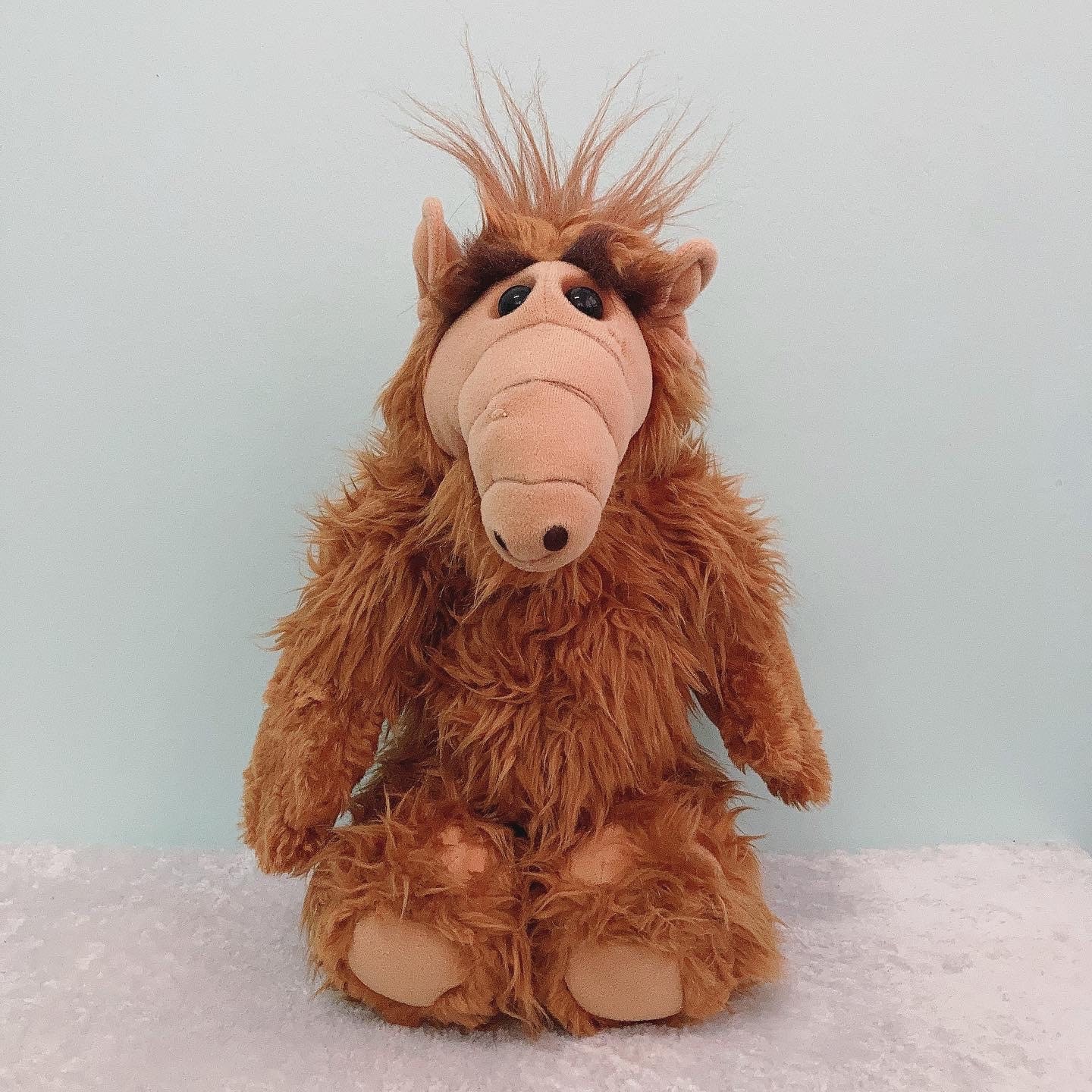 ALF PLUSHDOLL90→8€ Amazon.com: Kidrobot ALF 8 Inch Phunny Plush : Toys & Games