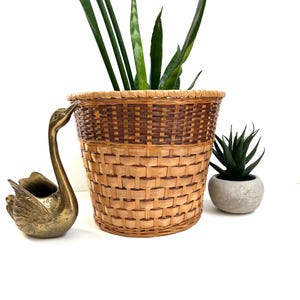 May include: A woven wicker basket planter with a two-tone design, holding a tall green plant. A brass swan-shaped container and a small potted succulent are also present. The basket has a light brown base and a darker brown top.