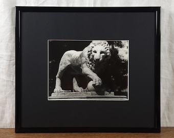 Vintage Odessa Stadtgarten Löwe Foto, Ukrainische Künstlerin Silin, 1986, gerahmt