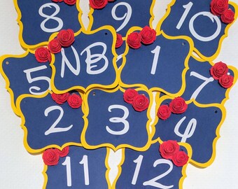 Beauty and the Beast 1st Birthday Photo Banner: Milestone Decoration