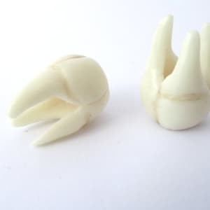 Tooth Dreadlock Bead Mini-Sculpture Glow in the dark Dreadlock Cuff Dread Decoration Hair Jewelry Dread Accessorie Dreadlocks