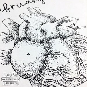 Pu&ograve; includere: Un'illustrazione in bianco e nero di un cuore umano con numeri per un'attivit&agrave; di pittura per numeri. Il testo "Febbraio" &egrave; scritto nella parte superiore dell'immagine. Il nome dell'artista e il suo sito web sono scritti nella parte inferiore dell'immagine.