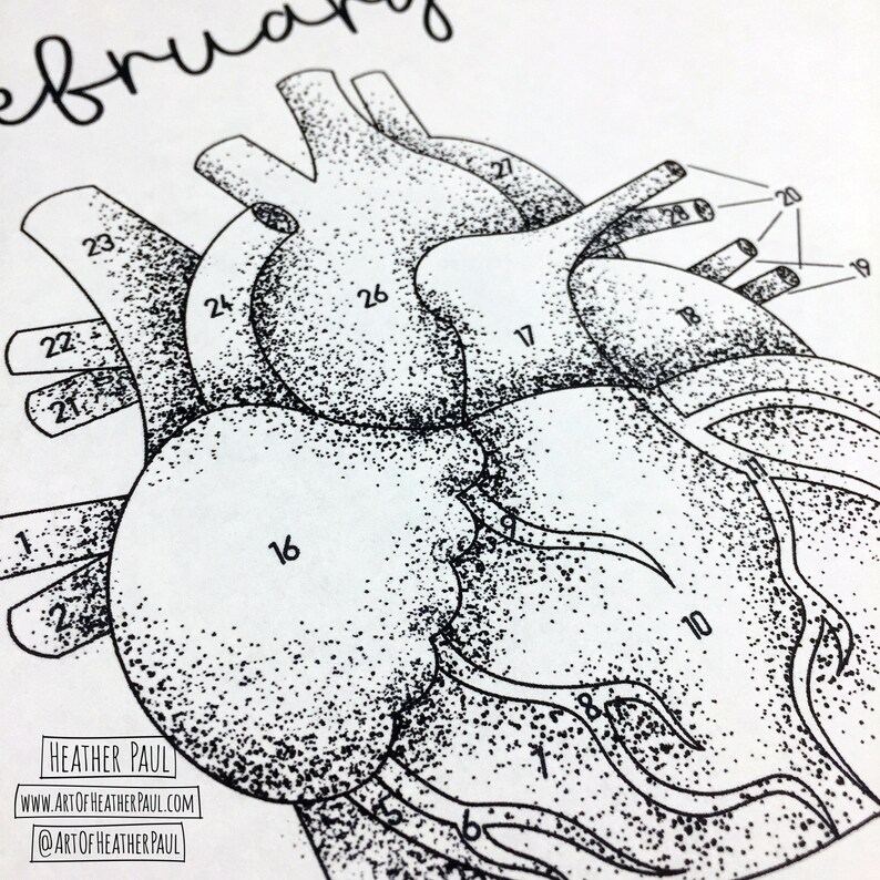 Pu&ograve; includere: Un'illustrazione in bianco e nero di un cuore umano con numeri per un'attivit&agrave; di pittura per numeri. Il testo "Febbraio" &egrave; scritto nella parte superiore dell'immagine. Il nome dell'artista e il suo sito web sono scritti nella parte inferiore dell'immagine.