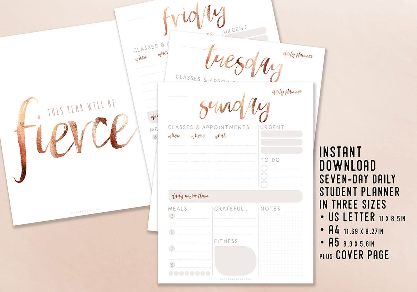 Daily Student Planner Daily Schedule Printable Instant - Etsy