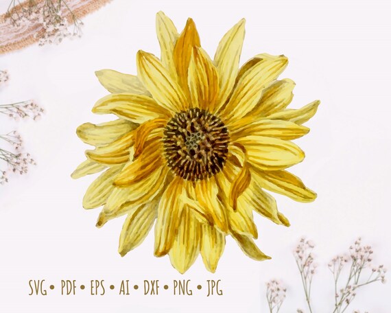 Free Free 310 Sunflower Svg Etsy SVG PNG EPS DXF File
