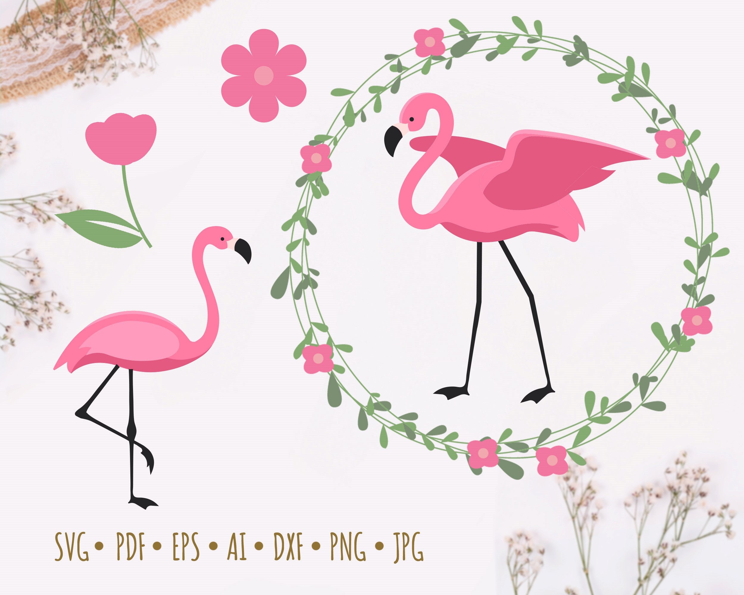 Download Floral Flamingo Svg Flamingo Mandala Flamingo Zentangle Etsy