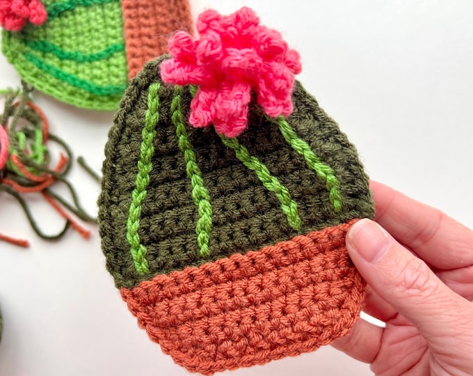 Crochet Cactus Gift Pocket Pattern