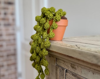 Crochet Faux Plant Pattern, Crochet String of Pearls Plant, Crochet Fake Plant Pattern, Faux Succulent, Amigurumi Succulent