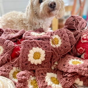 May include: A pile of crocheted squares with daisy-shaped flowers in shades of pink, white, and yellow. A small white dog sits on top of the squares, looking at the camera.