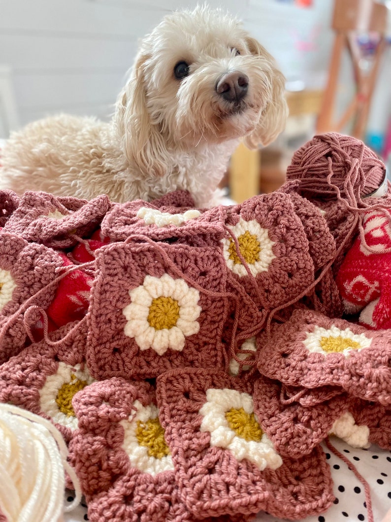May include: A pile of crocheted squares with daisy-shaped flowers in shades of pink, white, and yellow. A small white dog sits on top of the squares, looking at the camera.