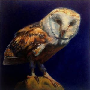 Cartão de felicitações de coruja, cartão de coruja de celeiro, coruja noturna, da pintura a óleo original de Budgerigardener, Chouette, Hibou, Eule