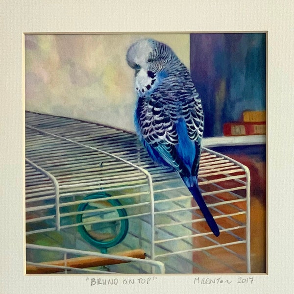 Budgie Art Print, Budgie Giclee Print, Parakeet Art, Square print in two sizes. Framed Print Option,