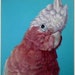see more listings in the Tout section