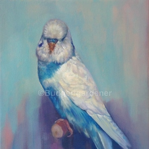 Tarjeta de felicitación Budgie de la pintura al óleo 'Huevo' de Budgerigardener. Perico Azul y Blanco - Wellensittich, Perruche, Perequito, Undulat