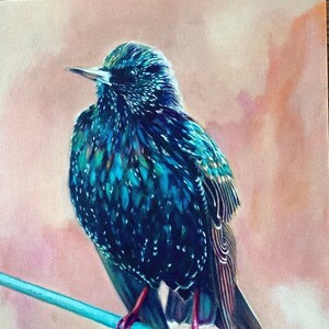 Starling Greeting Card: British Bird Art, Jewel Tones