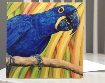 Hyacinth Macaw, Parrot Greeting Card,  From Original Oil Painting. Amazon Parrot, Blue Bird Art, Purple, Blue, Yellow