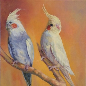 Carte de voeux calopsitte, carte de Saint-Valentin calopsitte, oiseaux de compagnie, carte oiseau, paire d'oiseaux, blanc à l'intérieur. D'après la peinture à l'huile de Perruche ondulée.