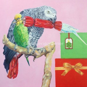 Parrot Christmas Cards: Budgie & African Grey - Christmas Cracker Humour