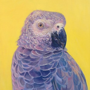 Pappagallo grigio africano, biglietto d'auguri per pappagallo, pittura a olio di Budgerigardener. Arte dei pappagalli, regalo per uccelli, grigio e oro. Biglietto d'auguri vuoto